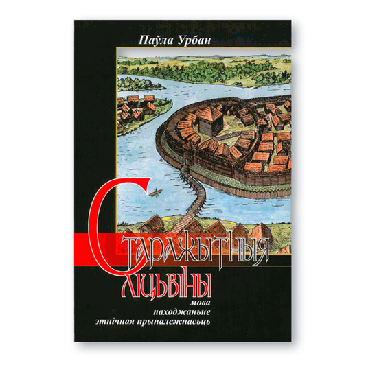 Вокладка кнігі «Старажытныя ліцьвіны: мова, паходжаньне, этнічная прыналежнасьць» з гістарычнай сімволікай