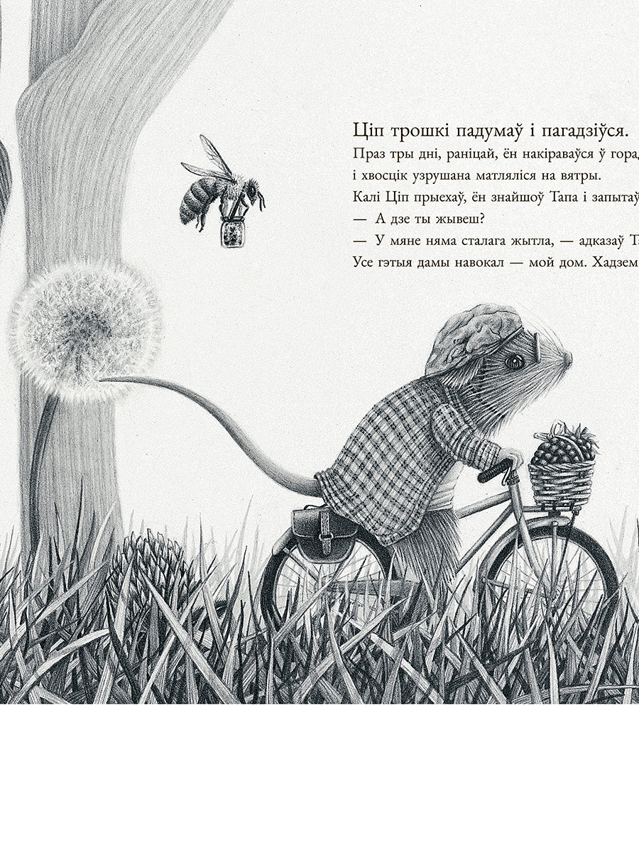 Мышаня Ціп і мышаня Тап
