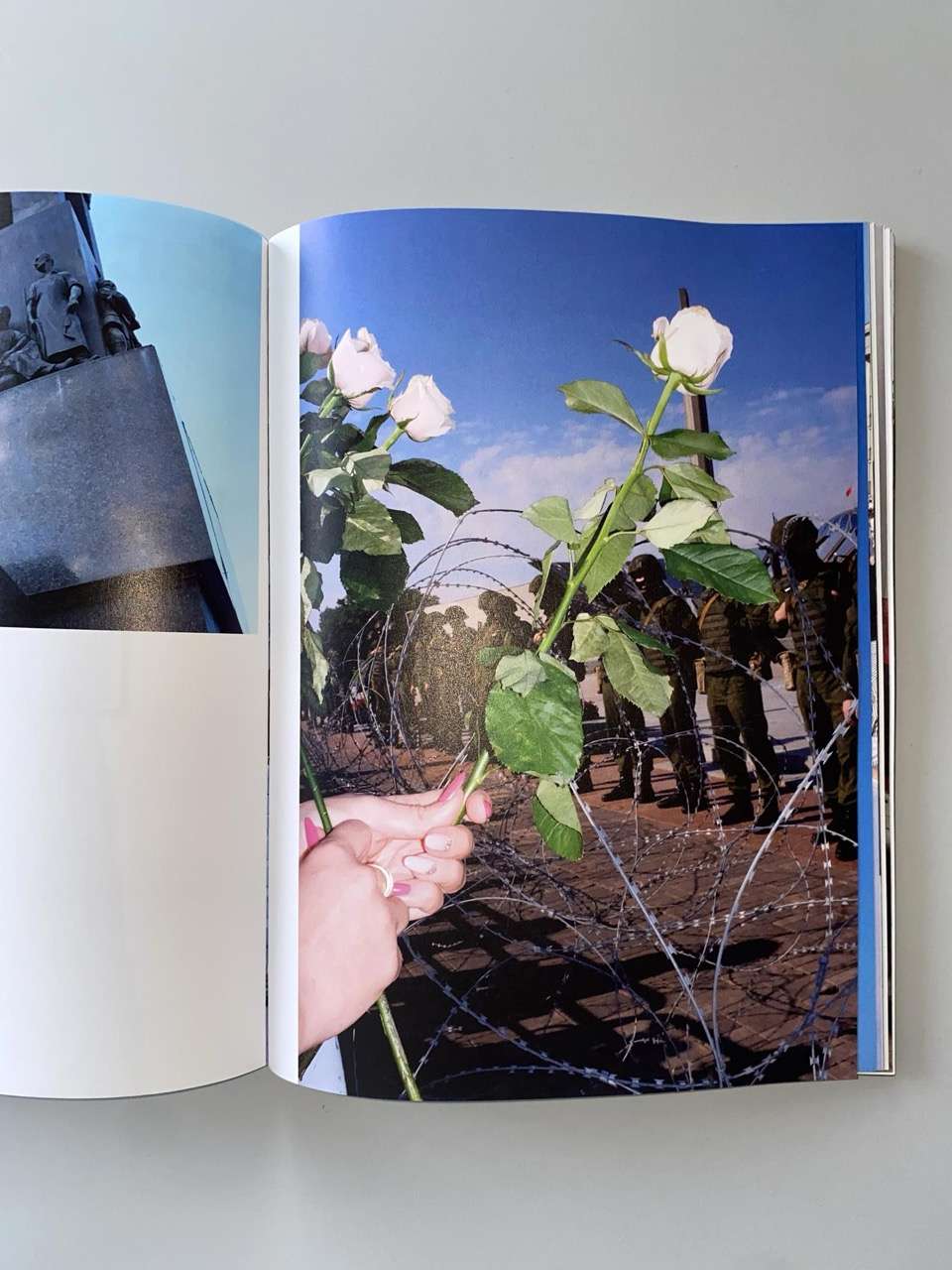 Descent into the Marsh