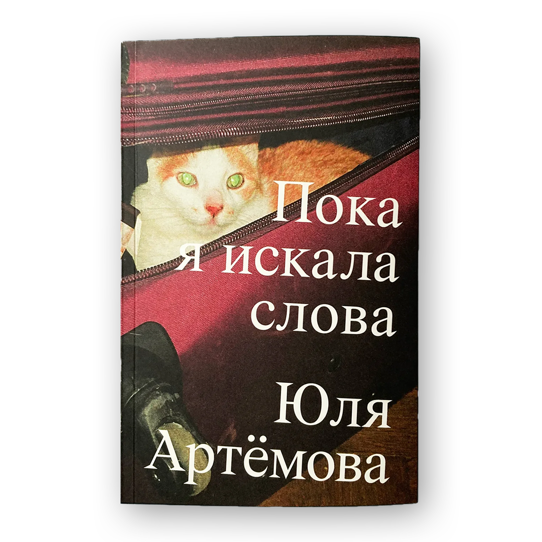 Пока я искала слова роман о беларусской эмиграции репрессиях и войне