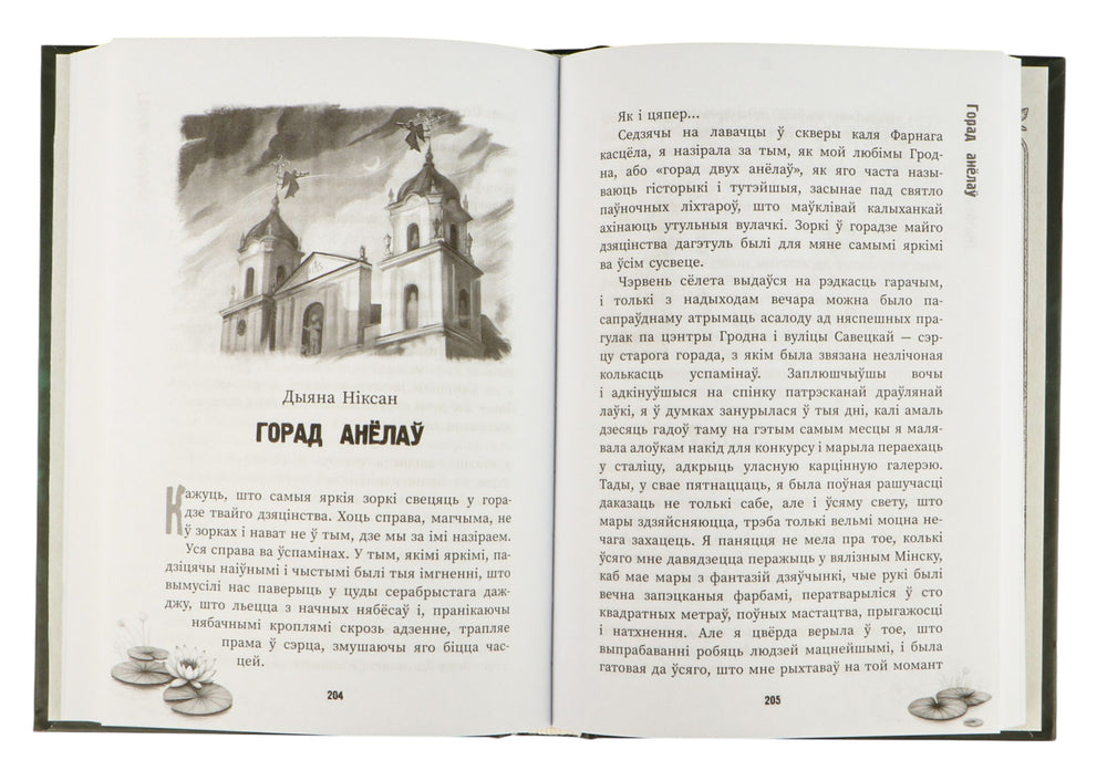 (Ня)бачная Беларусь