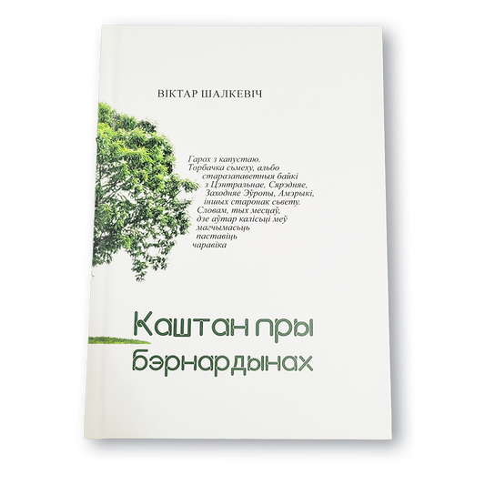 Вокладка кнігі «Каштан пры Бэрнардынах»