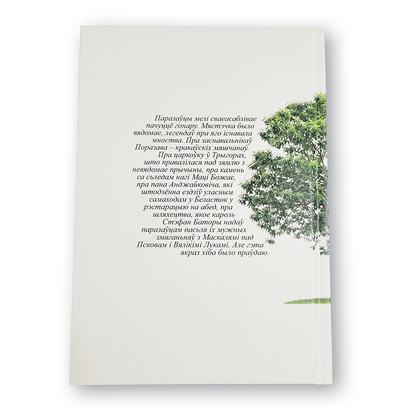 Вокладка кнігі «Каштан пры Бэрнардынах»