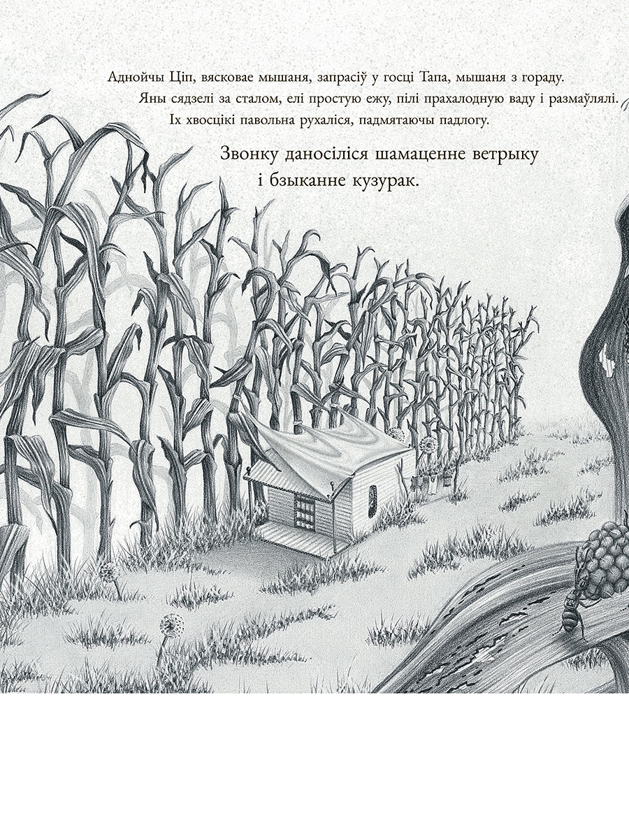 Мышаня Ціп і мышаня Тап