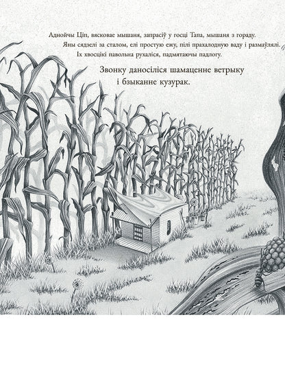Мышаня Ціп і мышаня Тап