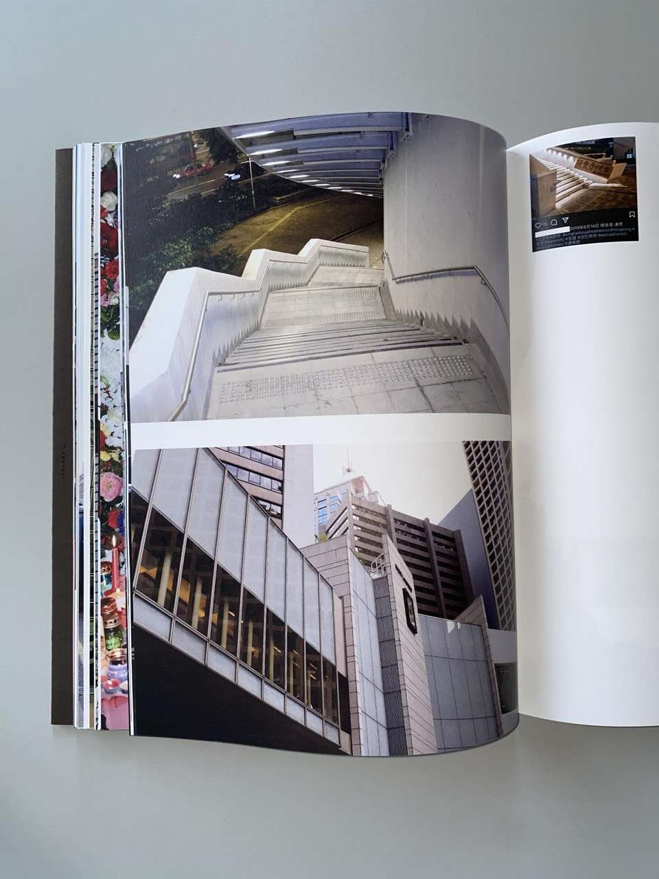 Descent into the Marsh